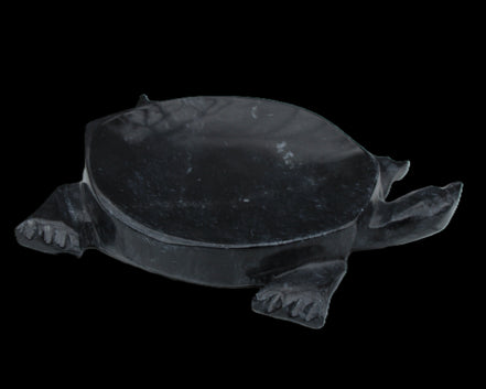 Black Jade hand-carved Turtle platter 156*118*21mm 575g in sunlight - Rocks and Things Store