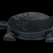 Black Jade hand-carved Turtle platter 156*118*21mm 575g in sunlight - Rocks and Things Store