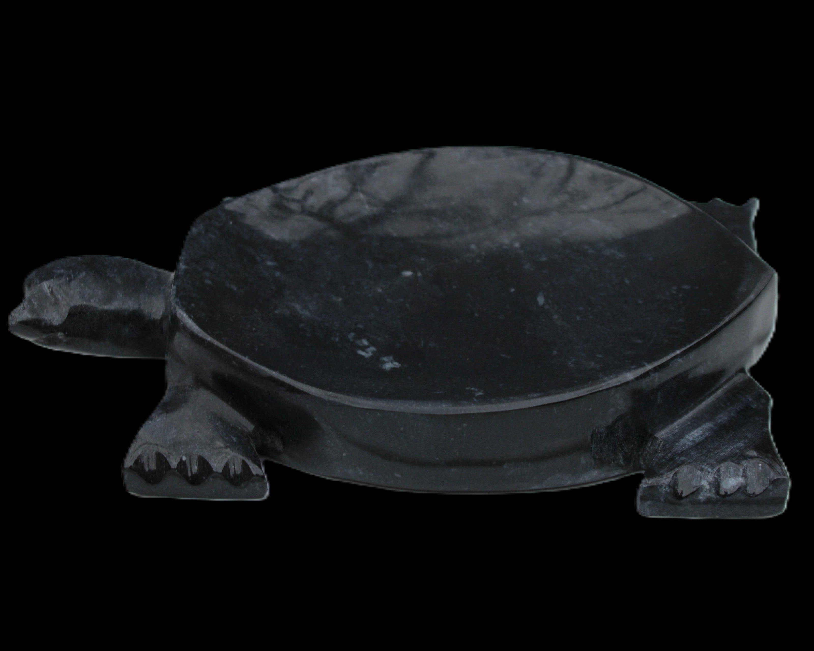 Black Jade hand-carved Turtle platter 156*118*21mm 575g in sunlight - Rocks and Things Store