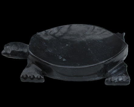 Black Jade hand-carved Turtle platter 156*118*21mm 575g in sunlight - Rocks and Things Store