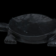 Black Jade hand-carved Turtle platter 156*118*21mm 575g in sunlight - Rocks and Things Store