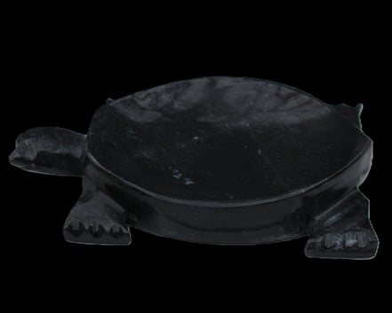 Black Jade hand-carved Turtle platter 156*118*21mm 575g in sunlight - Rocks and Things Store