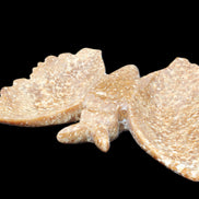 Chocolate Calcite hand-carved Butterfly dual platter 205*30*184mm 1076g in sunlight - Rocks and Things Store