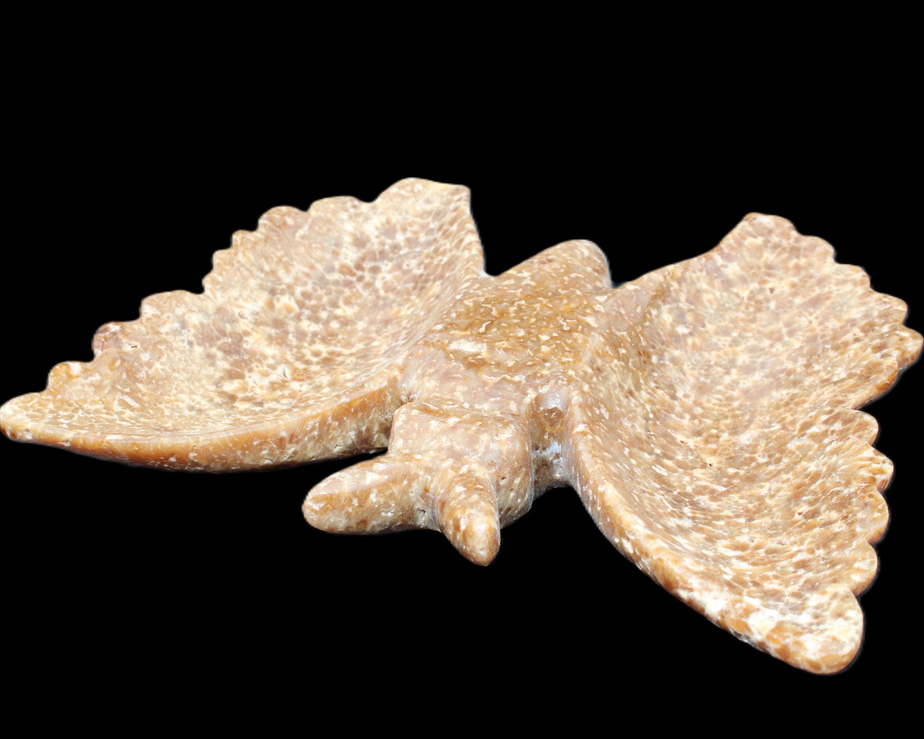 Chocolate Calcite hand-carved Butterfly dual platter 205*30*184mm 1076g in sunlight - Rocks and Things Store