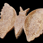 Chocolate Calcite hand-carved Butterfly dual platter 205*30*184mm 1076g in sunlight - Rocks and Things Store