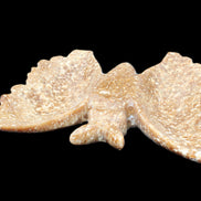 Chocolate Calcite hand-carved Butterfly dual platter 205*30*184mm 1076g in sunlight - Rocks and Things Store