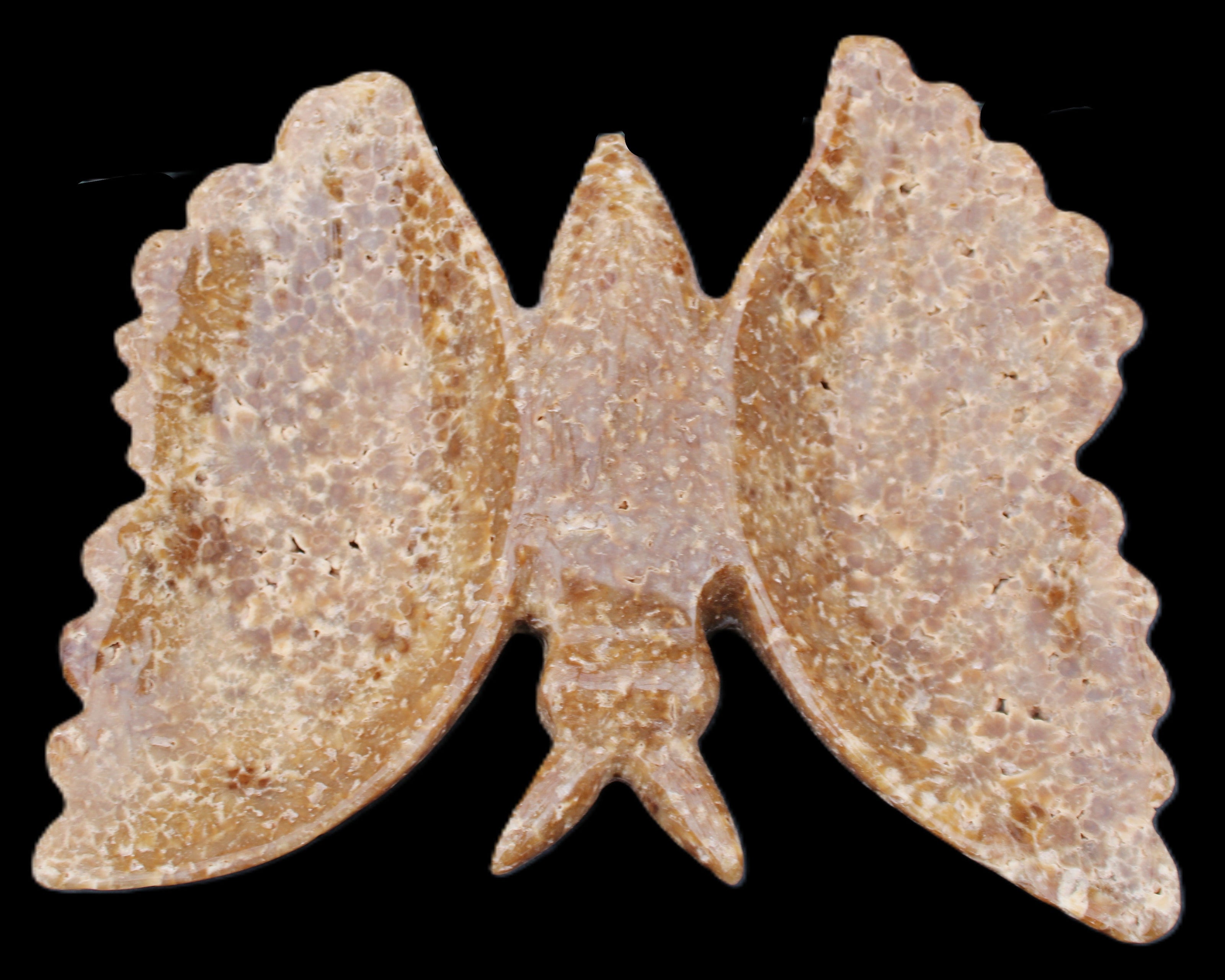 Chocolate Calcite hand-carved Butterfly dual platter 205*30*184mm 1076g in sunlight - Rocks and Things Store
