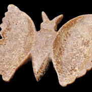 Chocolate Calcite hand-carved Butterfly dual platter 205*30*184mm 1076g in sunlight - Rocks and Things Store