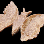 Chocolate Calcite hand-carved Butterfly dual platter 205*30*184mm 1076g in sunlight - Rocks and Things Store