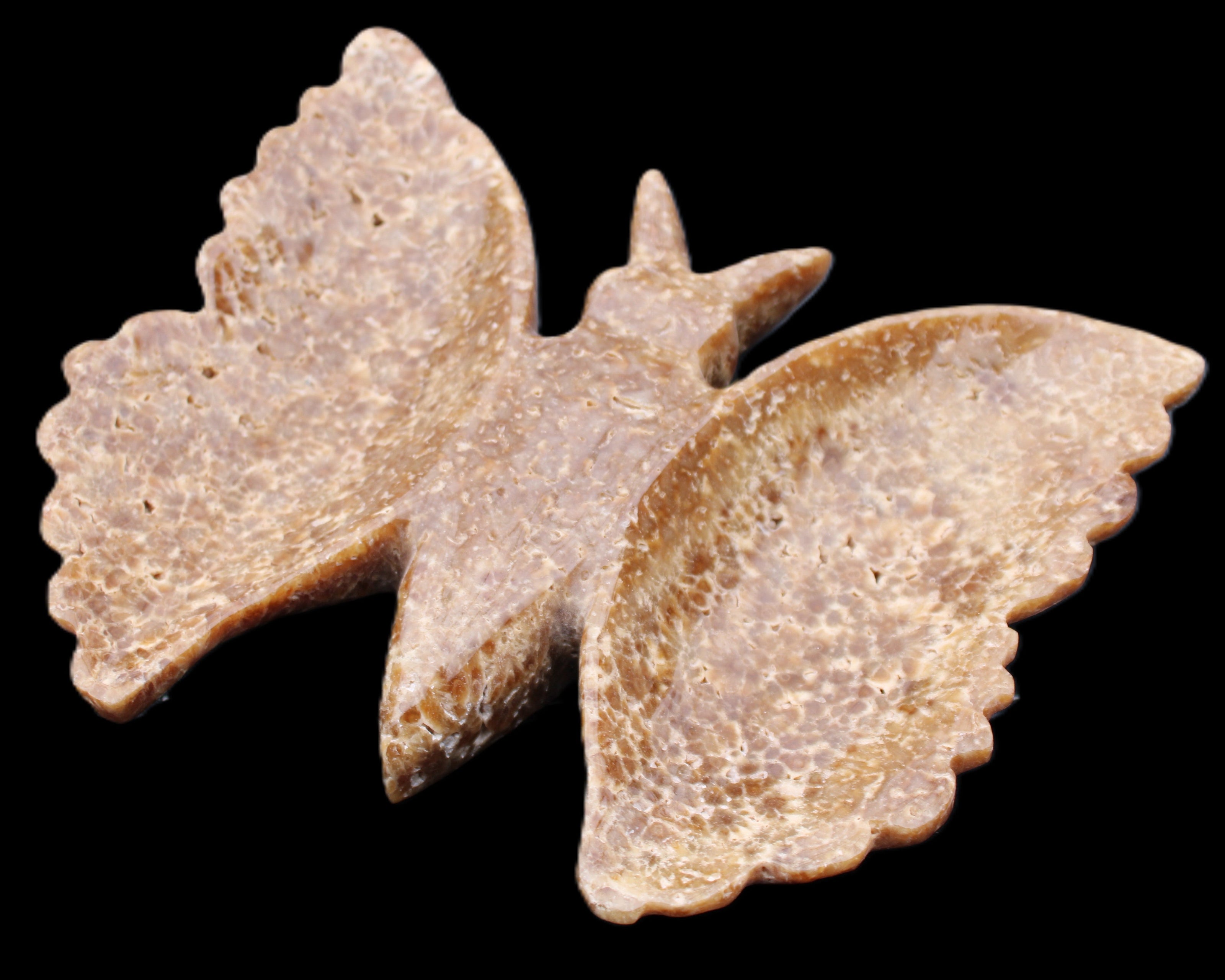 Chocolate Calcite hand-carved Butterfly dual platter 205*30*184mm 1076g in sunlight - Rocks and Things Store