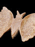 Chocolate Calcite hand-carved Butterfly dual platter 205*30*184mm 1076g in sunlight - Rocks and Things Store