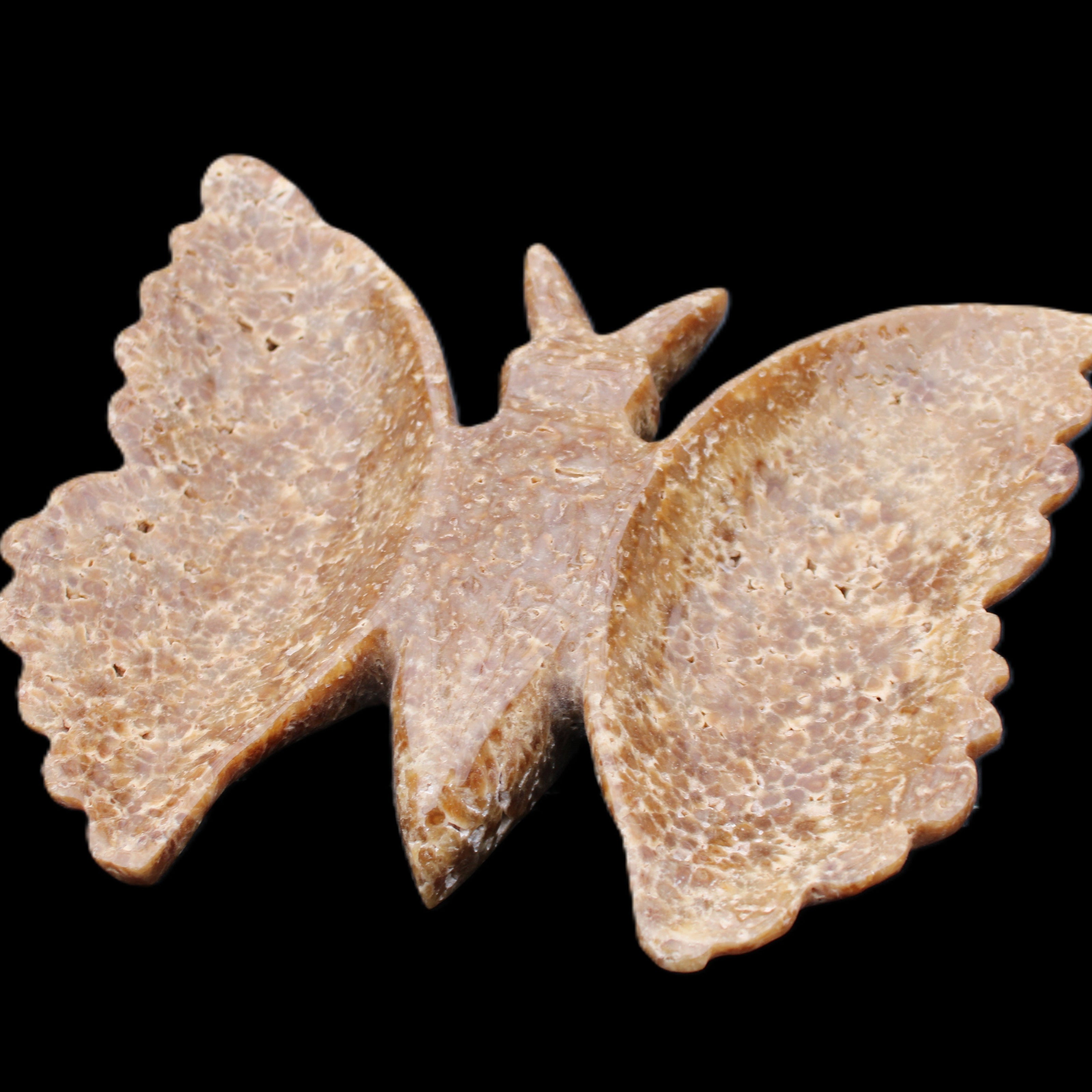 Chocolate Calcite hand-carved Butterfly dual platter 205*30*184mm 1076g in sunlight - Rocks and Things Store