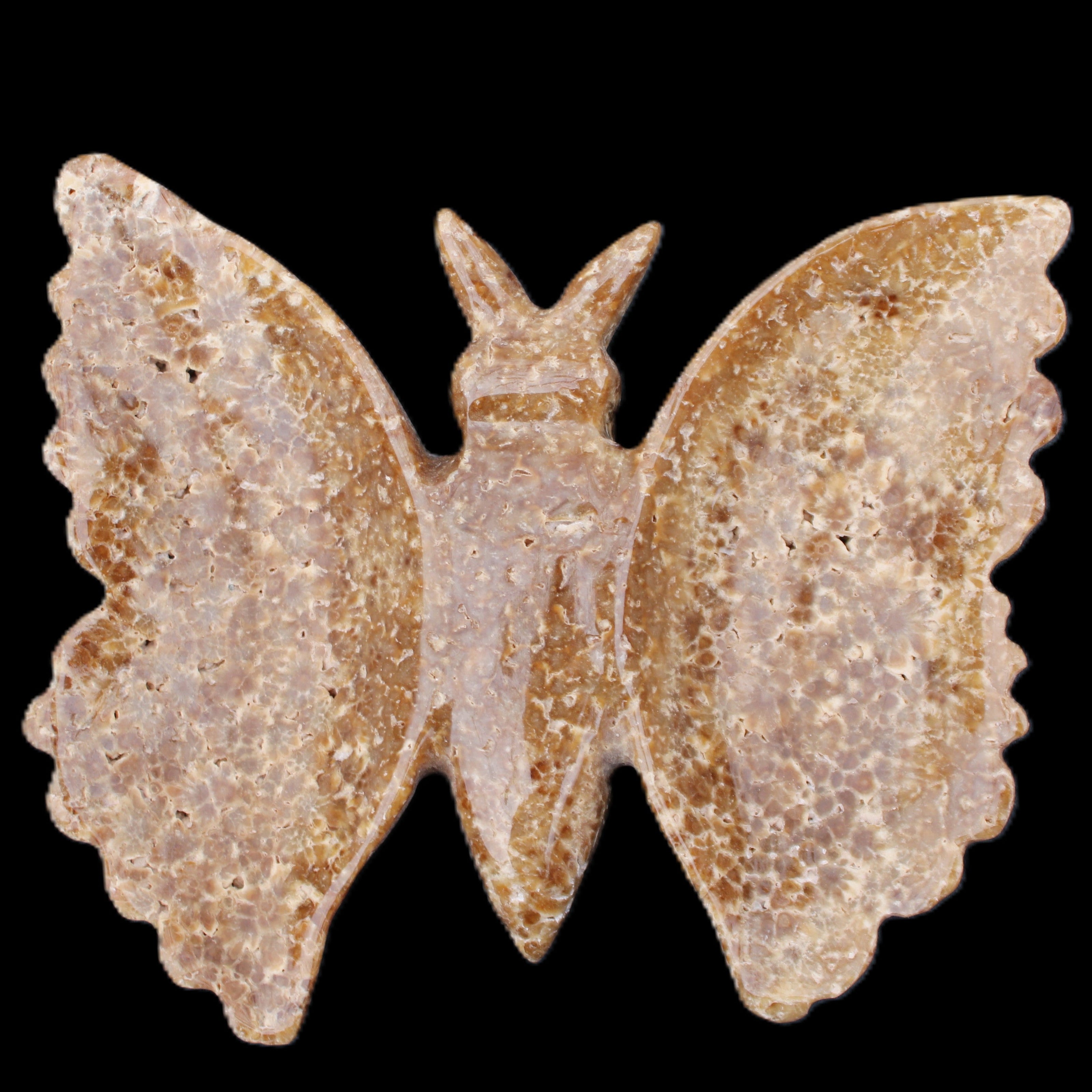 Chocolate Calcite hand-carved Butterfly dual platter 205*30*184mm 1076g in sunlight - Rocks and Things Store