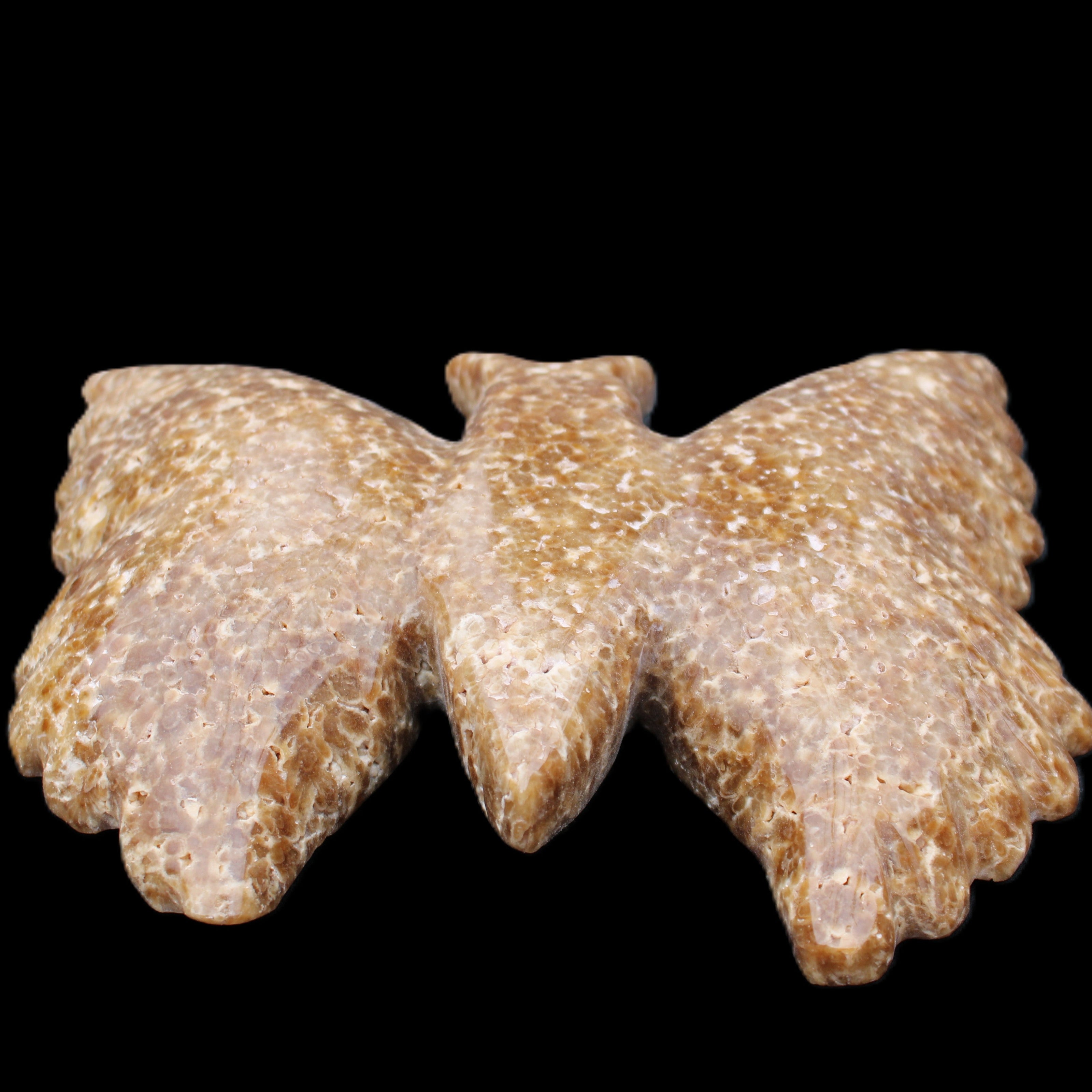 Chocolate Calcite hand-carved Butterfly dual platter 205*30*184mm 1076g in sunlight - Rocks and Things Store
