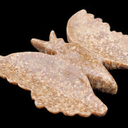 Chocolate Calcite hand-carved Butterfly dual platter 205*30*184mm 1076g in sunlight - Rocks and Things Store