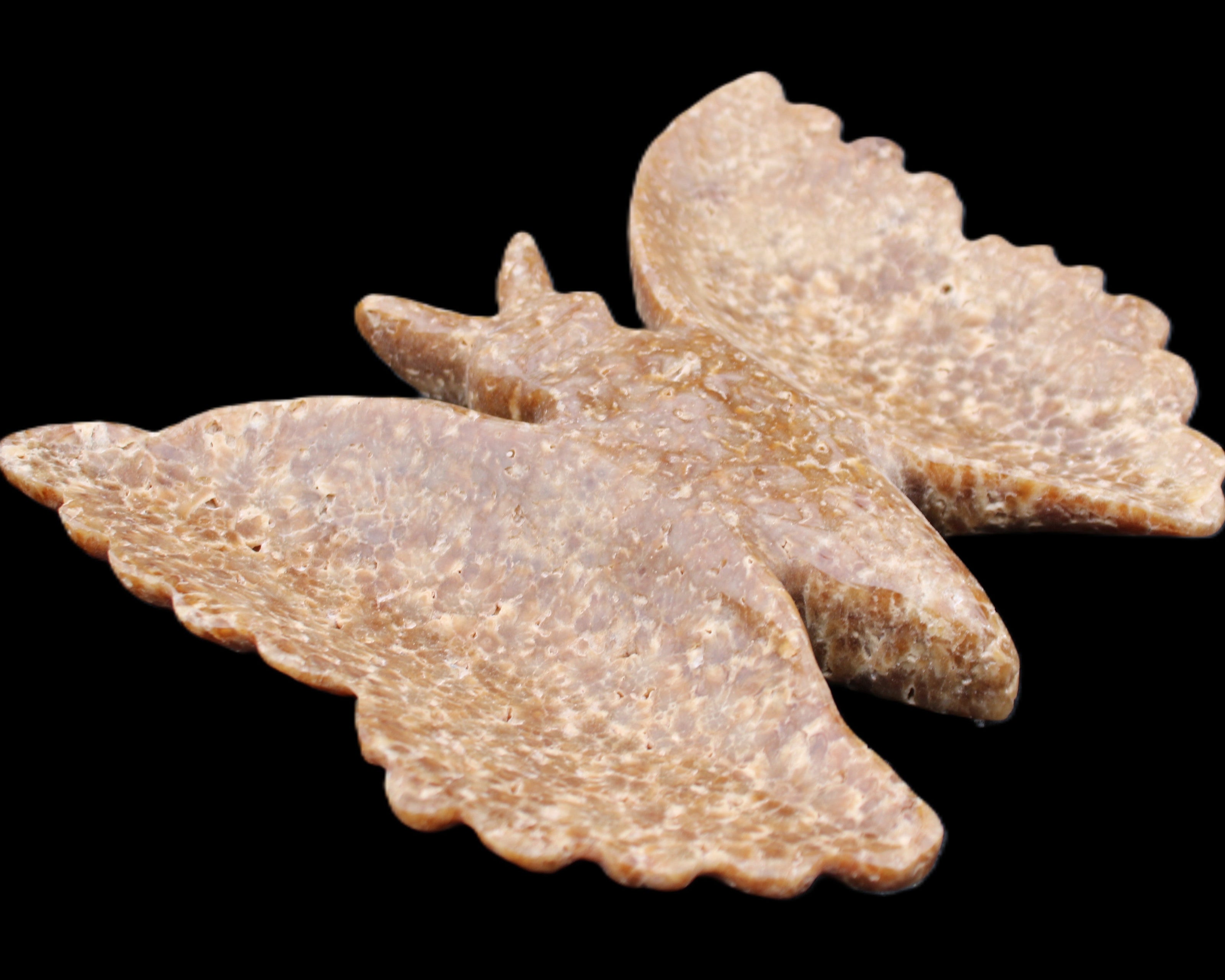 Chocolate Calcite hand-carved Butterfly dual platter 205*30*184mm 1076g in sunlight - Rocks and Things Store