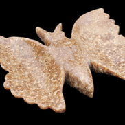 Chocolate Calcite hand-carved Butterfly dual platter 205*30*184mm 1076g in sunlight - Rocks and Things Store