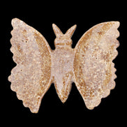 Chocolate Calcite hand-carved Butterfly dual platter 205*30*184mm 1076g in sunlight - Rocks and Things Store