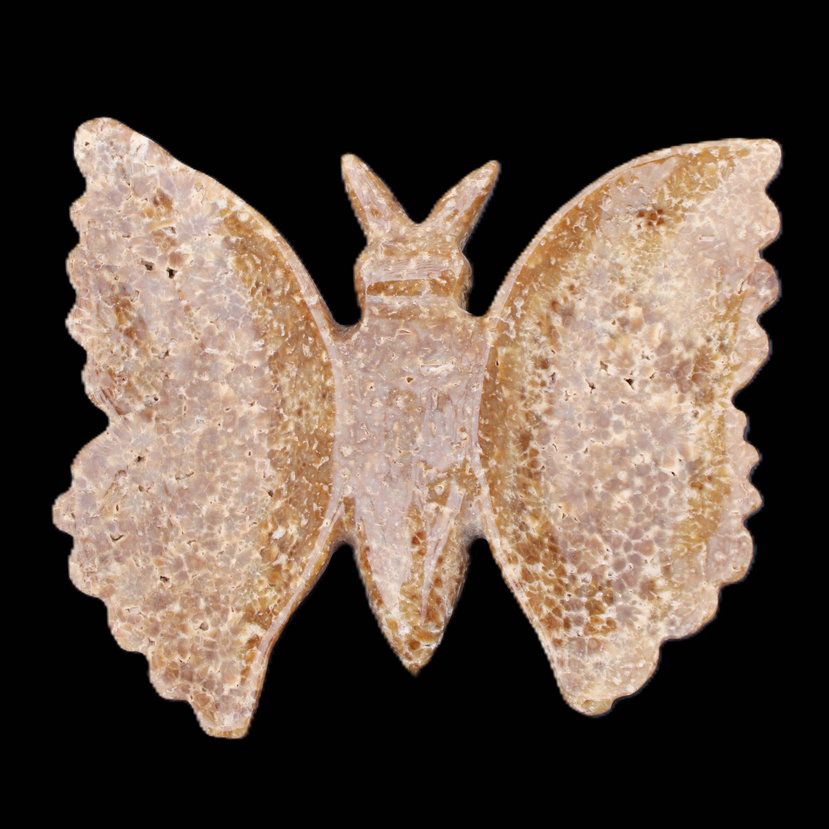 Chocolate Calcite hand-carved Butterfly dual platter 205*30*184mm 1076g in sunlight - Rocks and Things Store