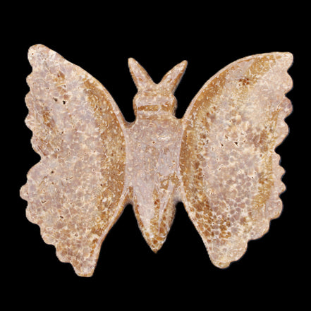 Chocolate Calcite hand-carved Butterfly dual platter 205*30*184mm 1076g in sunlight - Rocks and Things Store