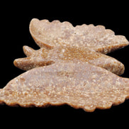Chocolate Calcite hand-carved Butterfly dual platter 205*30*184mm 1076g in sunlight - Rocks and Things Store