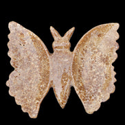 Chocolate Calcite hand-carved Butterfly dual platter 205*30*184mm 1076g in sunlight - Rocks and Things Store
