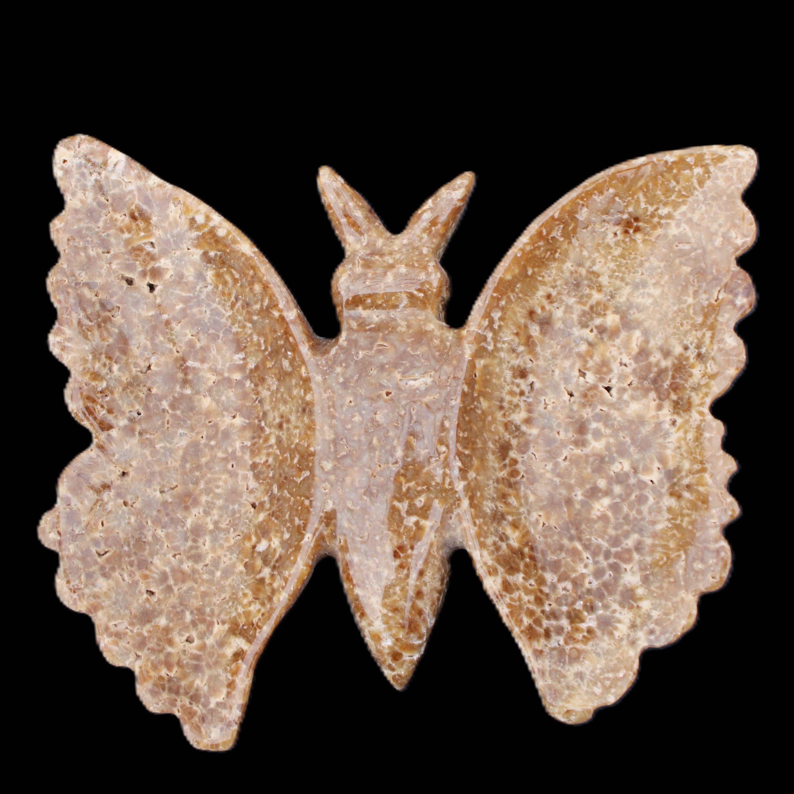 Chocolate Calcite hand-carved Butterfly dual platter 205*30*184mm 1076g in sunlight - Rocks and Things Store