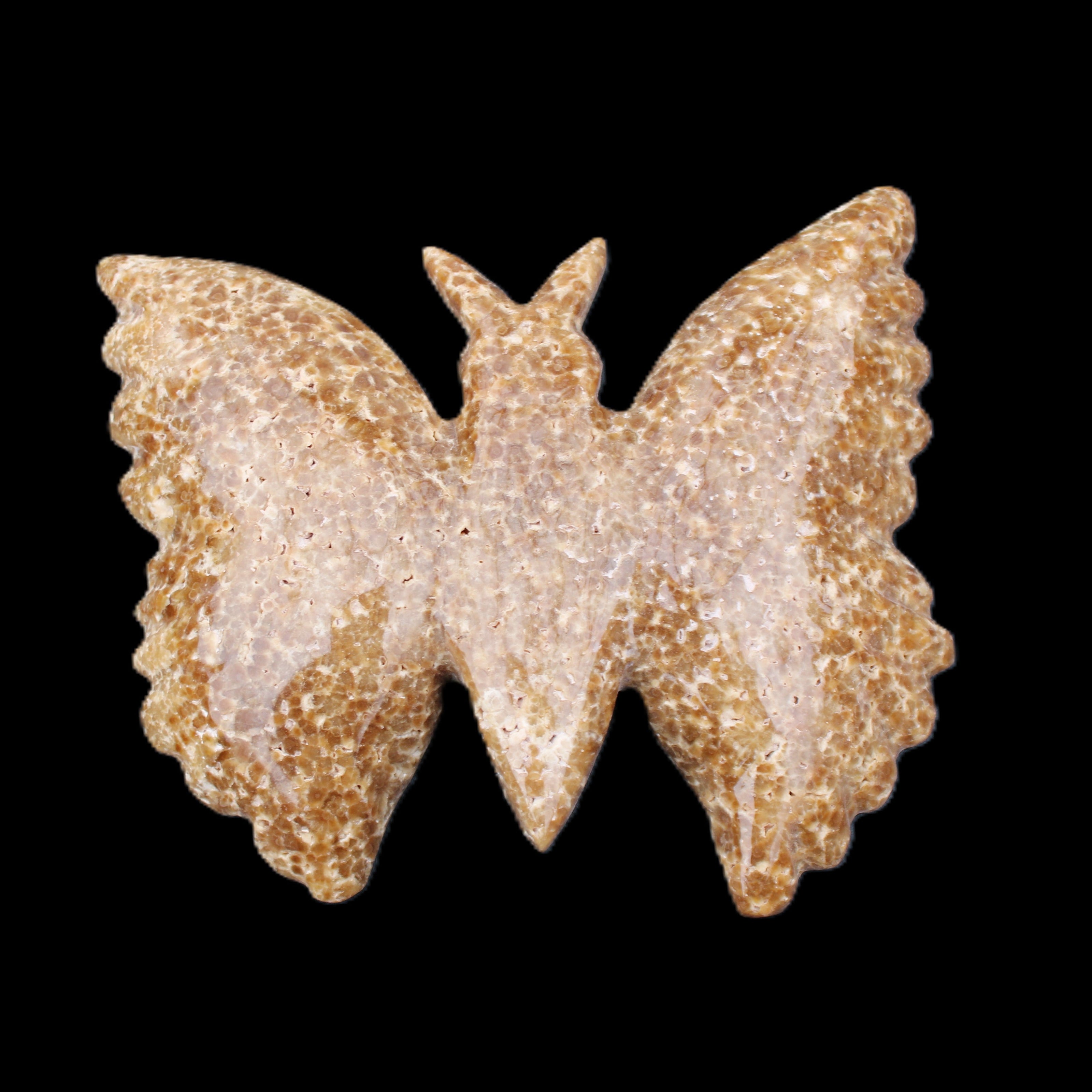 Chocolate Calcite hand-carved Butterfly dual platter 205*30*184mm 1076g in sunlight - Rocks and Things Store