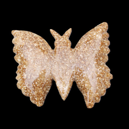 Chocolate Calcite hand-carved Butterfly dual platter 205*30*184mm 1076g in sunlight - Rocks and Things Store