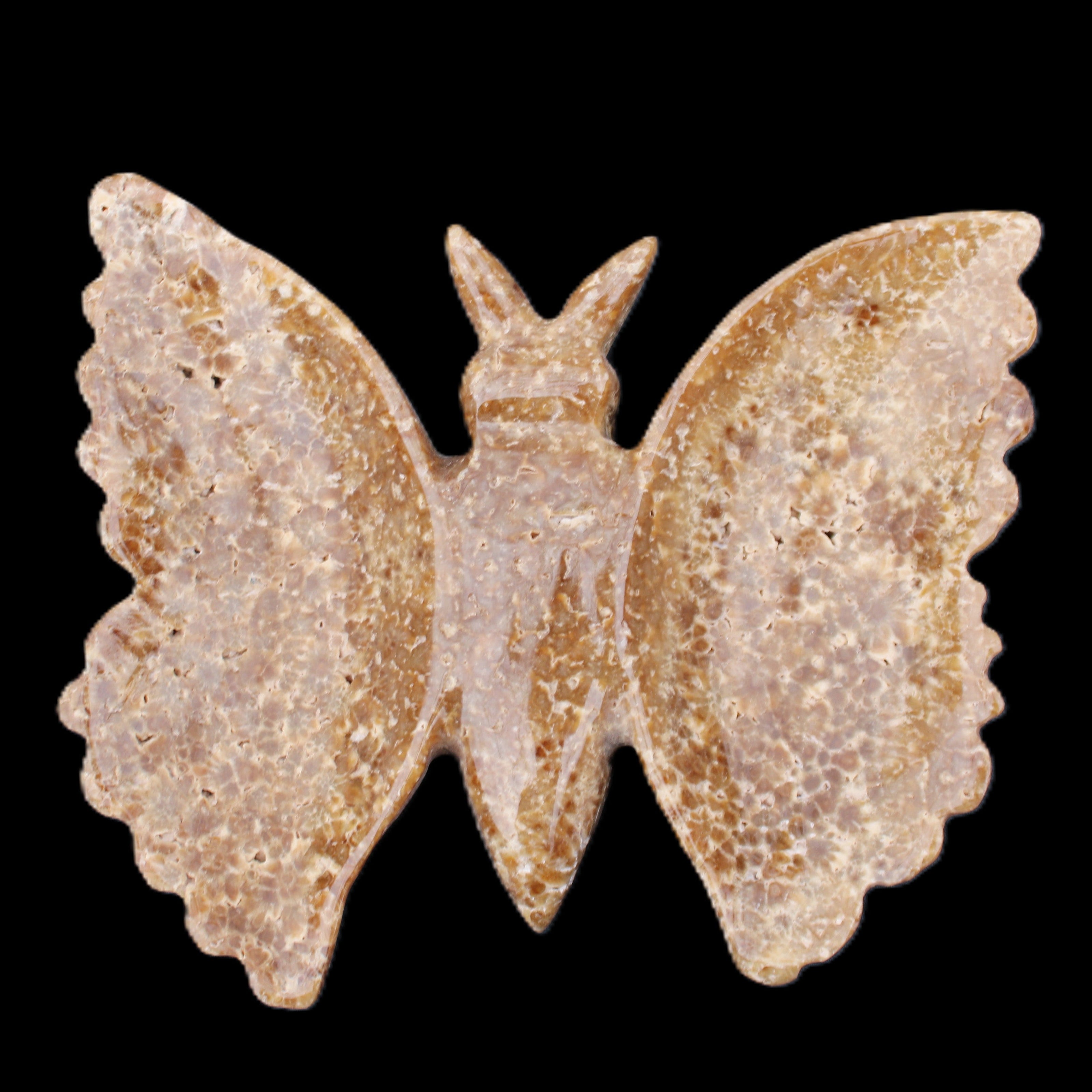 Chocolate Calcite hand-carved Butterfly dual platter 205*30*184mm 1076g in sunlight - Rocks and Things Store