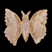 Chocolate Calcite hand-carved Butterfly dual platter 205*30*184mm 1076g in sunlight - Rocks and Things Store