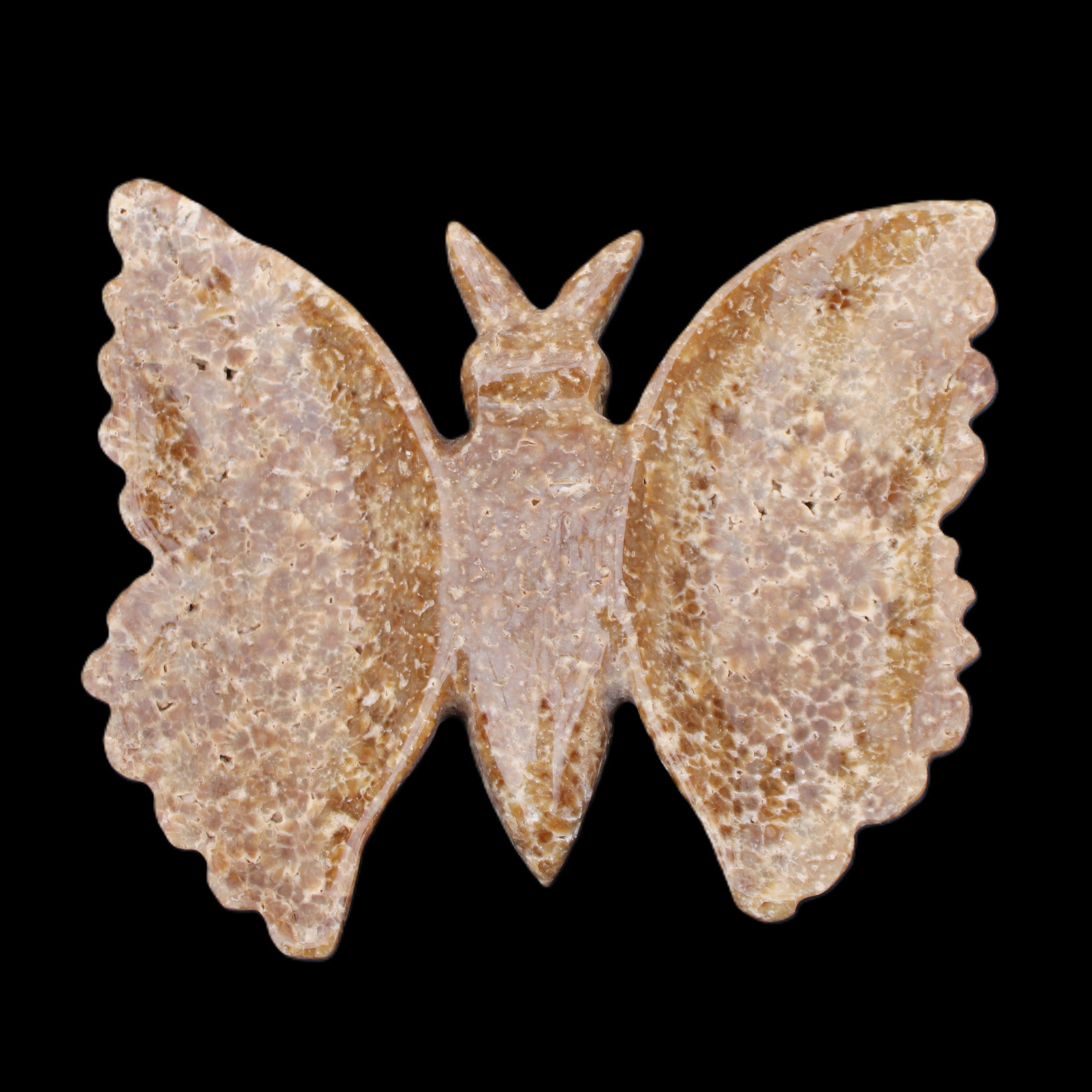 Chocolate Calcite hand-carved Butterfly dual platter 205*30*184mm 1076g in sunlight - Rocks and Things Store