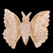 Chocolate Calcite hand-carved Butterfly dual platter 205*30*184mm 1076g in sunlight - Rocks and Things Store