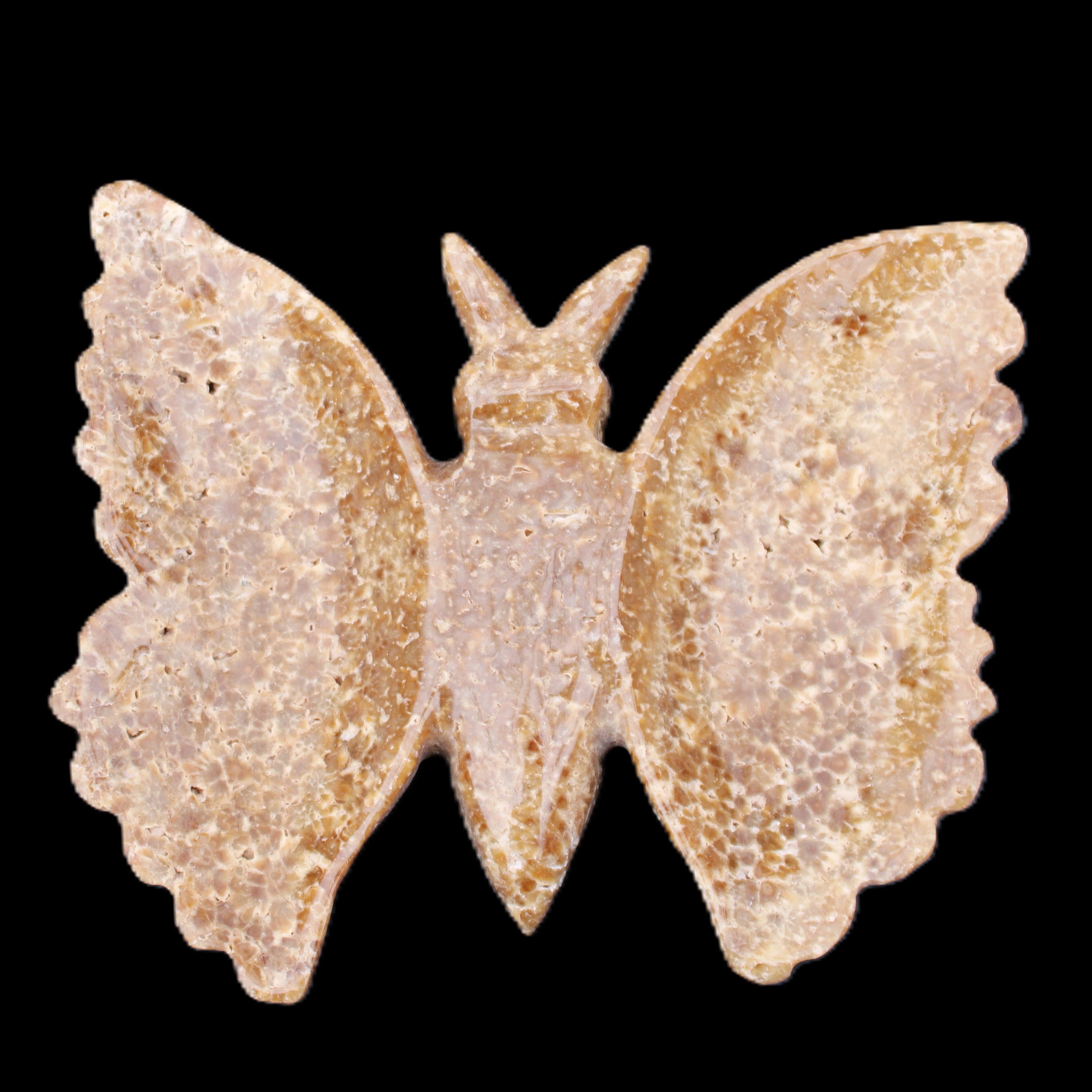 Chocolate Calcite hand-carved Butterfly dual platter 205*30*184mm 1076g in sunlight - Rocks and Things Store