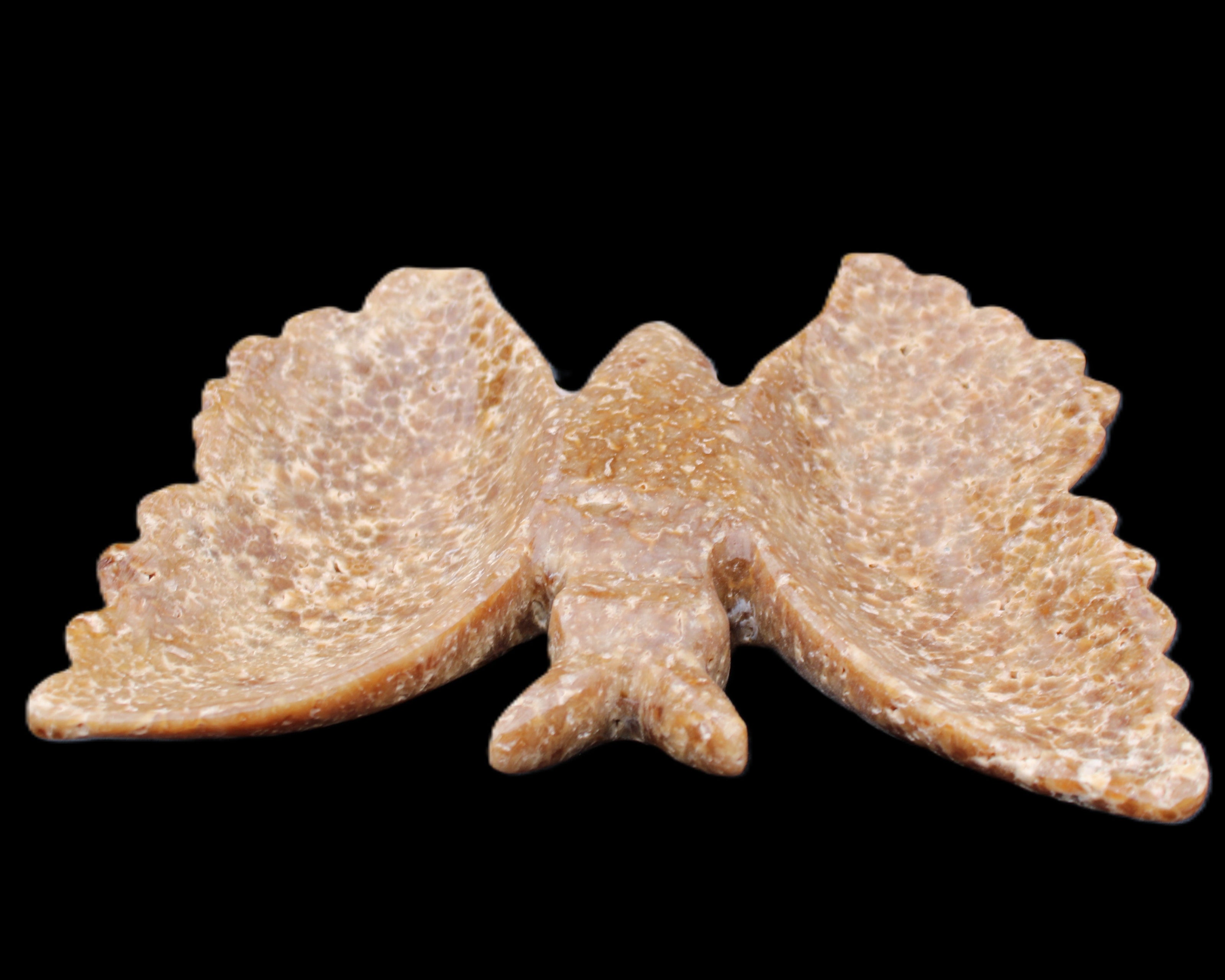 Chocolate Calcite hand-carved Butterfly dual platter 205*30*184mm 1076g in sunlight - Rocks and Things Store