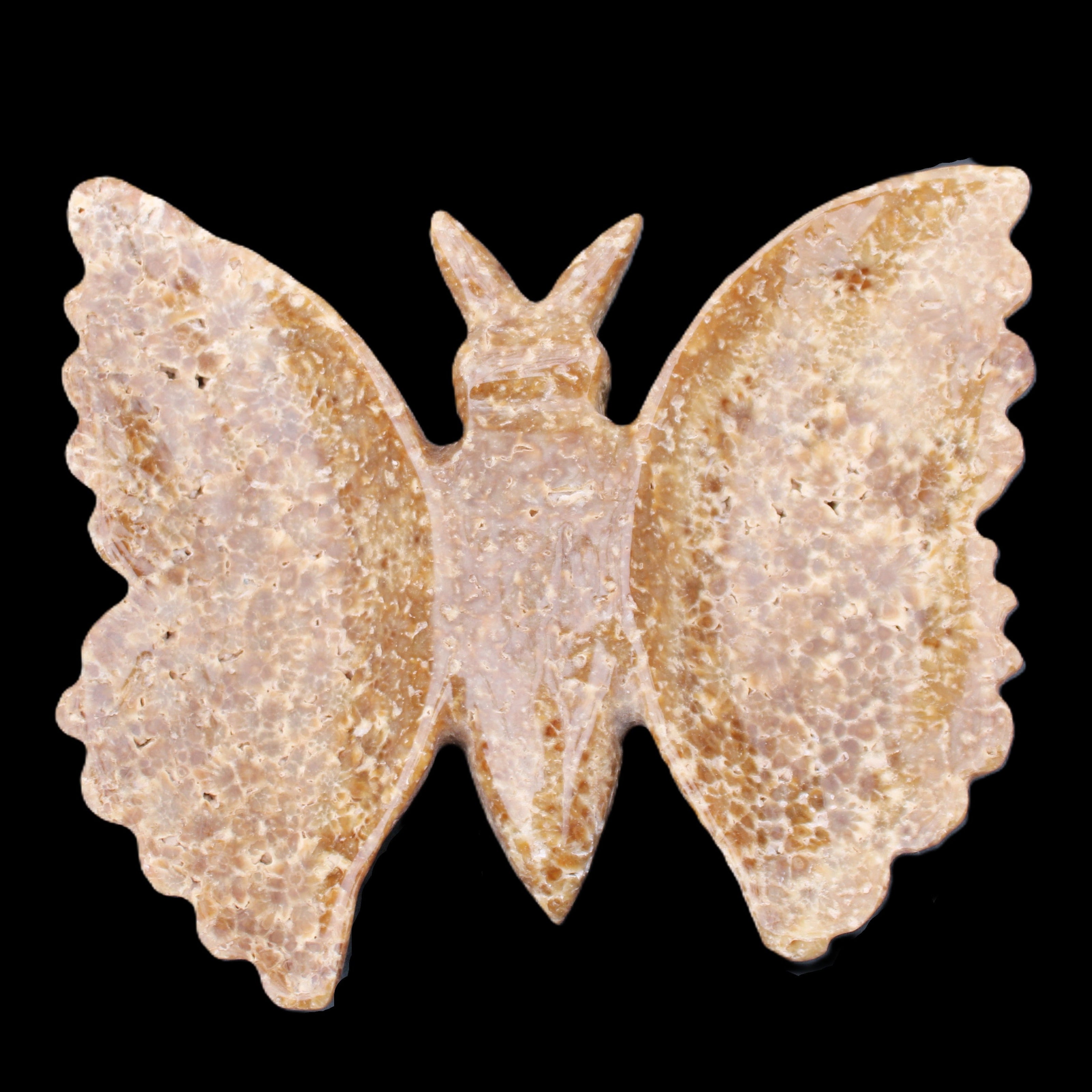 Chocolate Calcite hand-carved Butterfly dual platter 205*30*184mm 1076g in sunlight - Rocks and Things Store