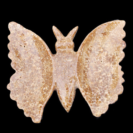 Chocolate Calcite hand-carved Butterfly dual platter 205*30*184mm 1076g in sunlight - Rocks and Things Store