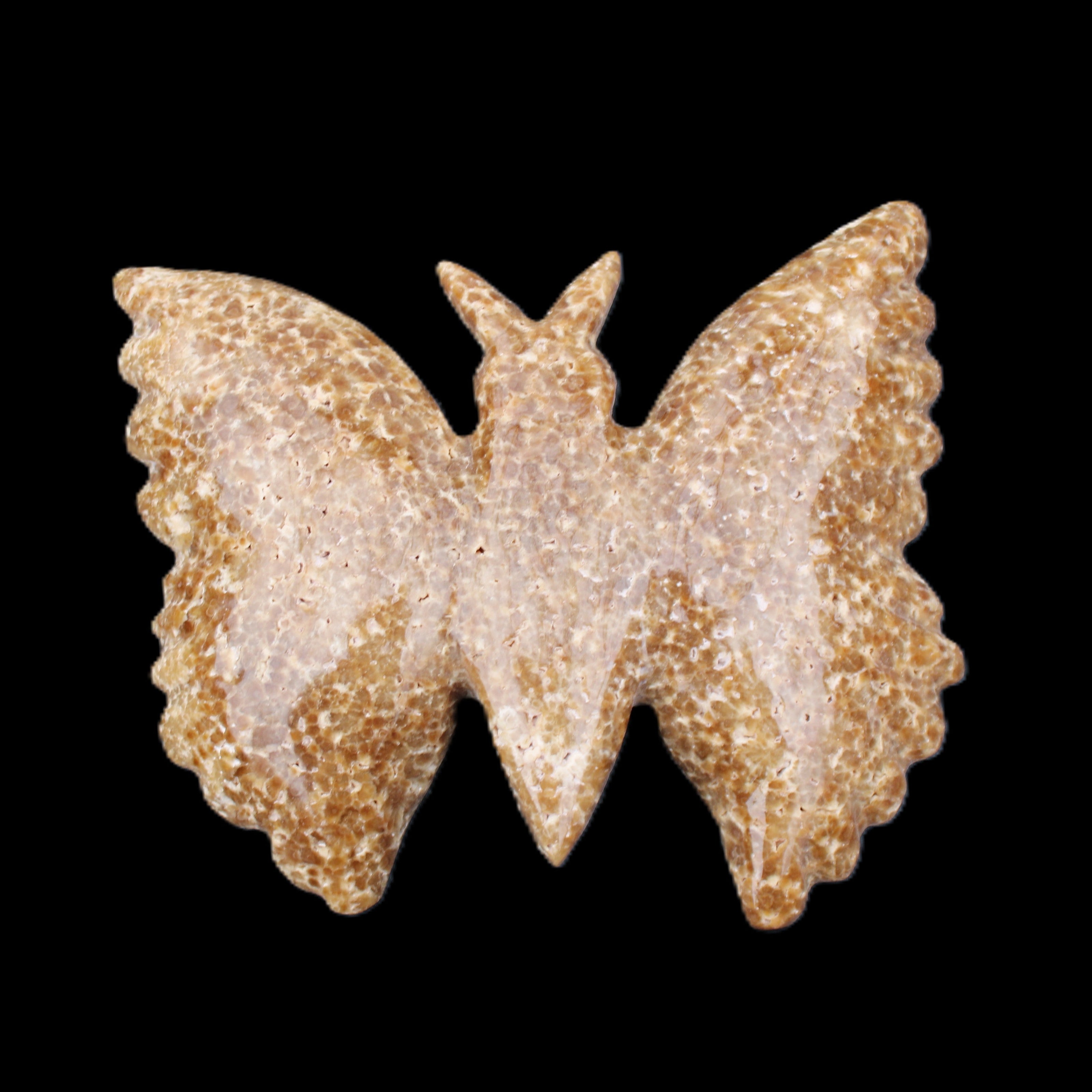 Chocolate Calcite hand-carved Butterfly dual platter 205*30*184mm 1076g in sunlight - Rocks and Things Store