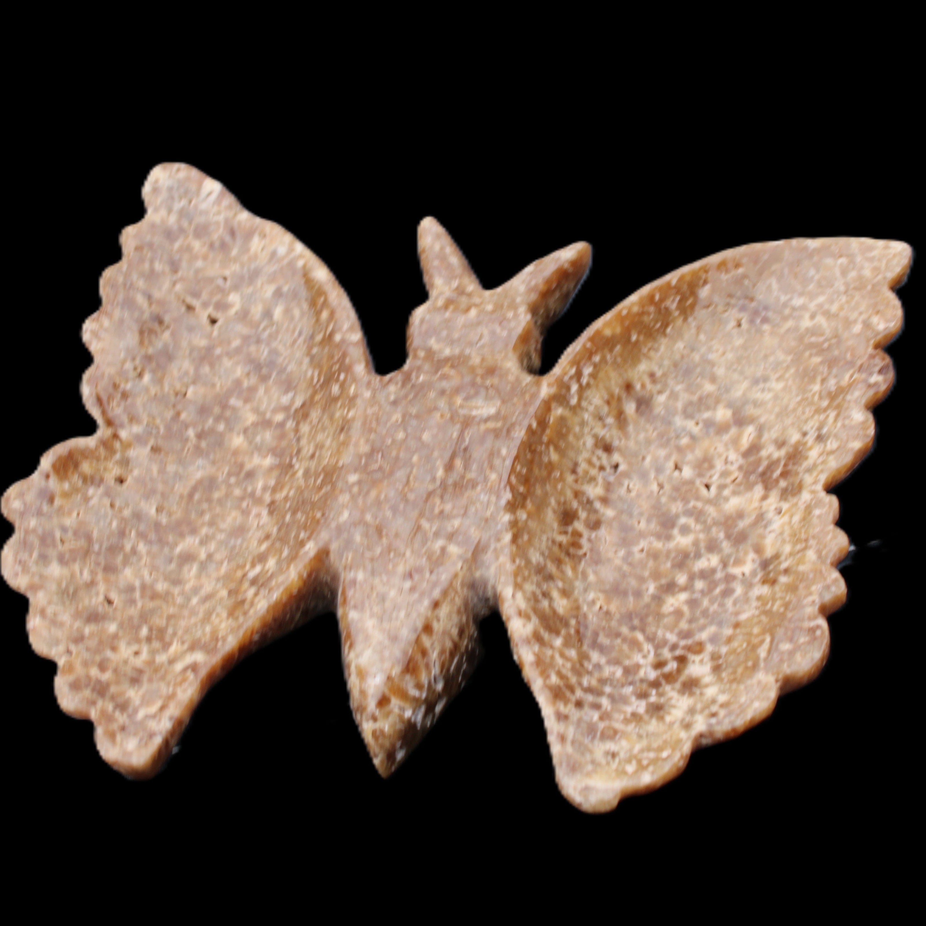 Chocolate Calcite hand-carved Butterfly dual platter 205*30*184mm 1076g in sunlight - Rocks and Things Store