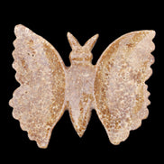 Chocolate Calcite hand-carved Butterfly dual platter 205*30*184mm 1076g in sunlight - Rocks and Things Store