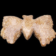 Chocolate Calcite hand-carved Butterfly dual platter 205*30*184mm 1076g in sunlight - Rocks and Things Store