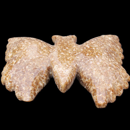 Chocolate Calcite hand-carved Butterfly dual platter 205*30*184mm 1076g in sunlight - Rocks and Things Store