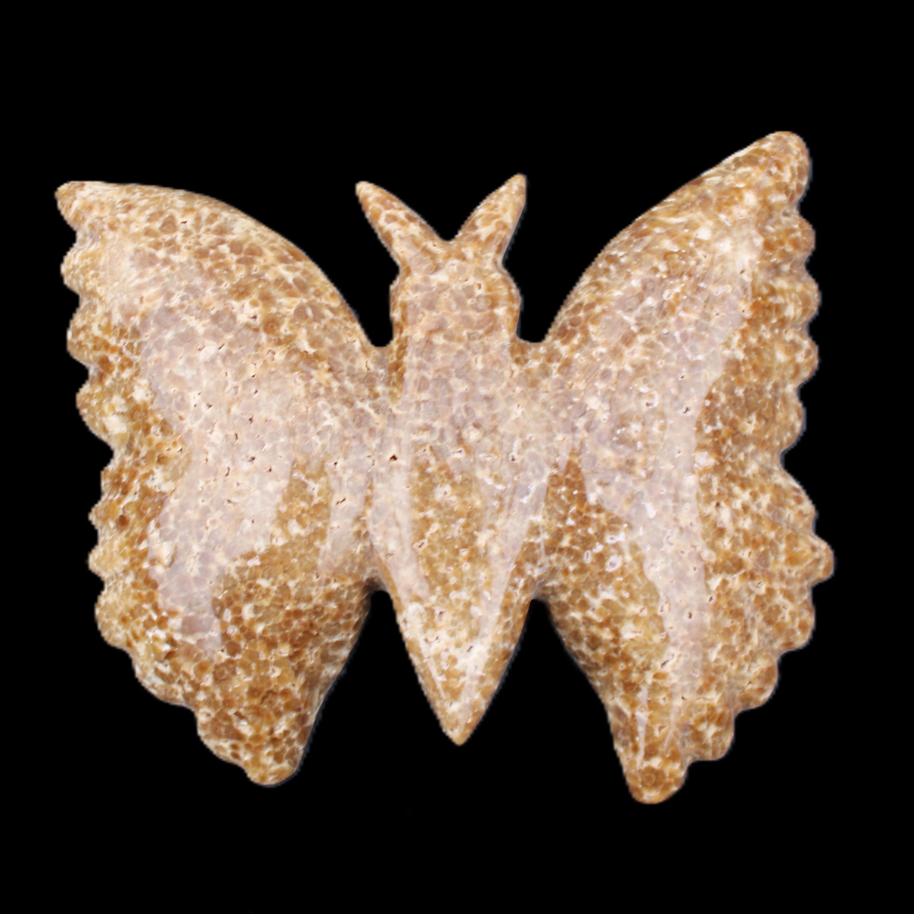 Chocolate Calcite hand-carved Butterfly dual platter 205*30*184mm 1076g in sunlight - Rocks and Things Store