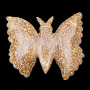 Chocolate Calcite hand-carved Butterfly dual platter 205*30*184mm 1076g in sunlight - Rocks and Things Store