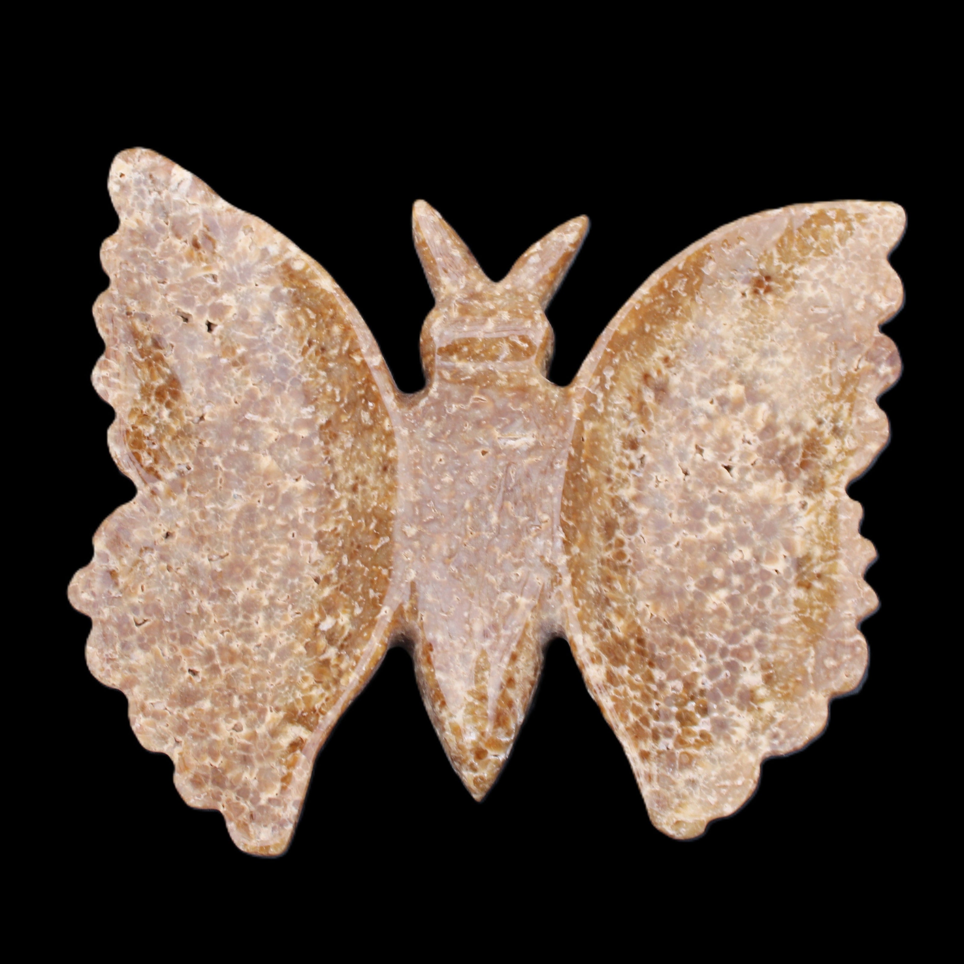 Chocolate Calcite hand-carved Butterfly dual platter 205*30*184mm 1076g in sunlight - Rocks and Things Store