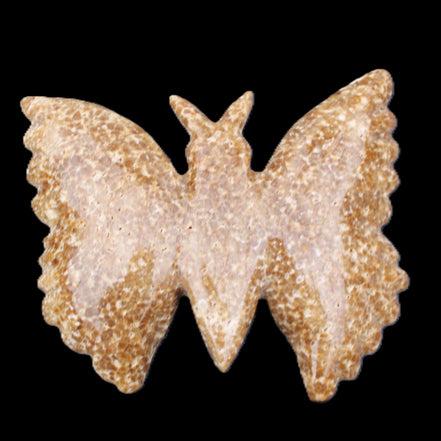 Chocolate Calcite hand-carved Butterfly dual platter 205*30*184mm 1076g in sunlight - Rocks and Things Store