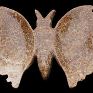 Chocolate Calcite hand-carved Butterfly dual platter 206*30*188mm 1113g in sunlight - Rocks and Things Store