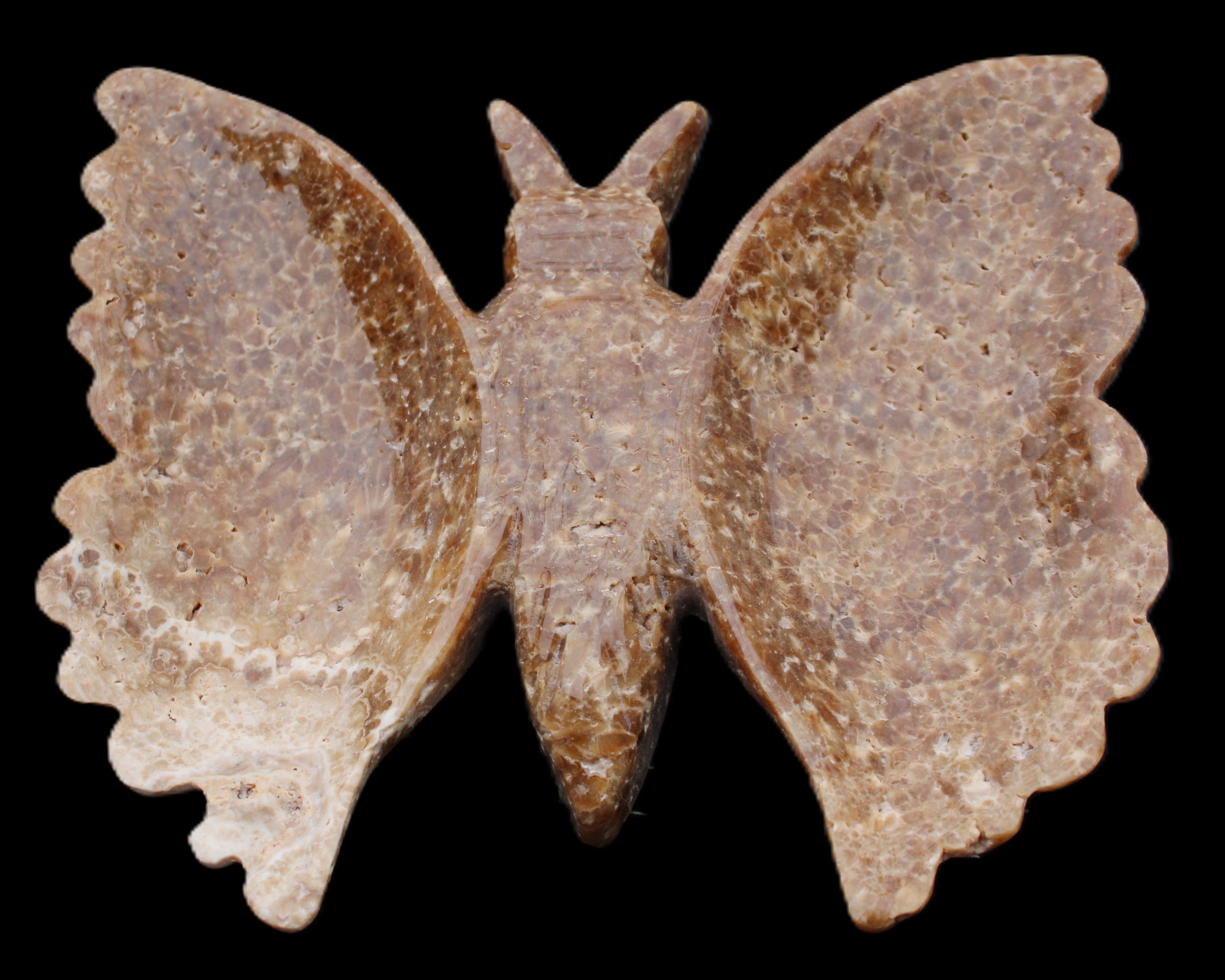 Chocolate Calcite hand-carved Butterfly dual platter 206*30*188mm 1113g in sunlight - Rocks and Things Store