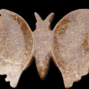Chocolate Calcite hand-carved Butterfly dual platter 206*30*188mm 1113g in sunlight - Rocks and Things Store