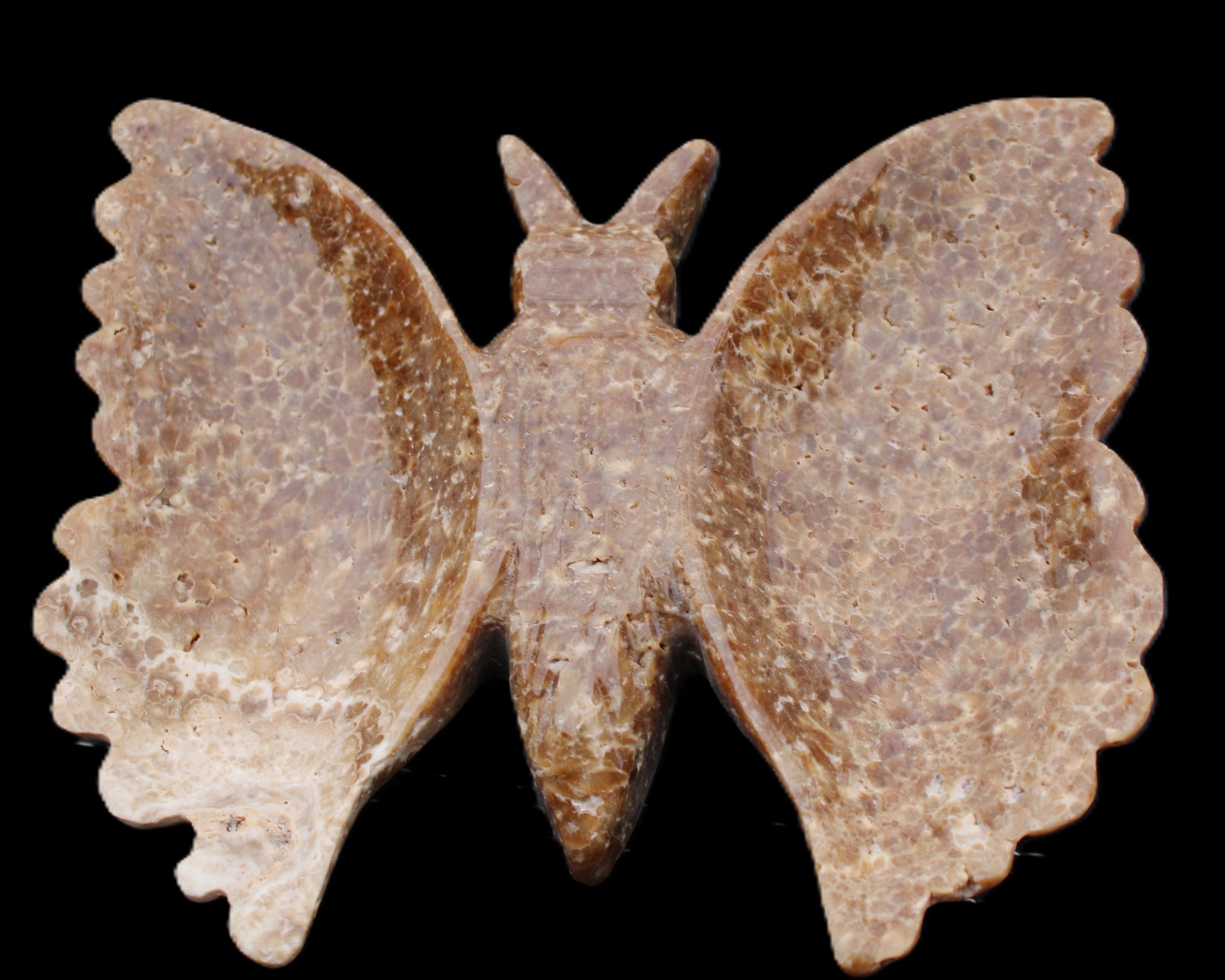 Chocolate Calcite hand-carved Butterfly dual platter 206*30*188mm 1113g in sunlight - Rocks and Things Store